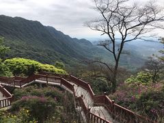 -广州市石门国家森林公园