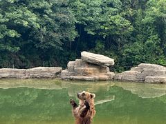 -杭州野生动物世界