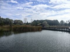 -溱湖国家湿地公园