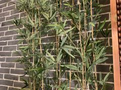 门面-泰钰丰烤鸭.天津菜(开发区店)