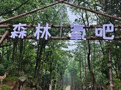 -洛阳白云山景区