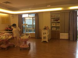 -生命加•Q考拉月子会所(玫瑰园店)