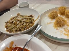 -丁老爷子苏香圆