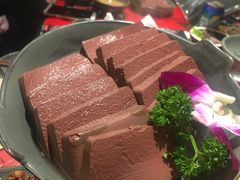 谭公鸭血-谭鸭血老火锅(漳州路店)