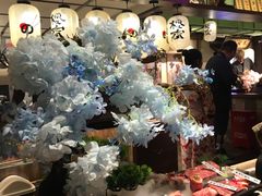 店内布置-樱宿日式和牛烧肉(五道口店)