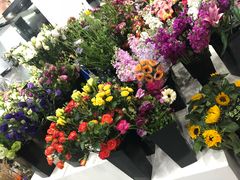 -Butchart布查德鲜花(花艺设计中心)