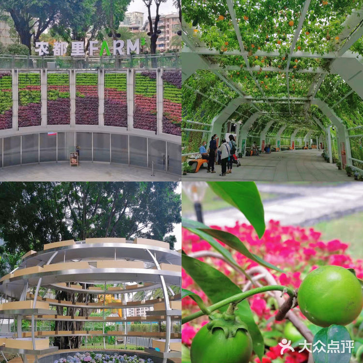 广州花城汇🌶亲子活动科技农场🥬农都里