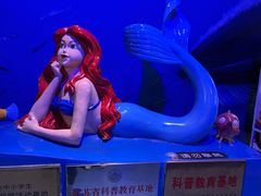 -梦幻海洋王国(吾悦广场张家港店)