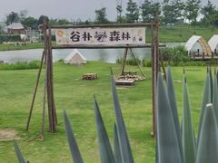 -空港花田景区