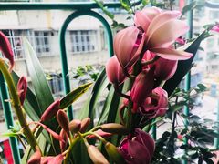 -头塘庄园(农家乐)