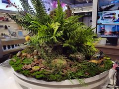 -Sony Store 索尼(上海淮海中路店)