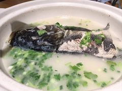 -天目湖涵田半山温泉