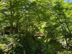 -三千院