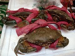 -青石桥市场北1-27号