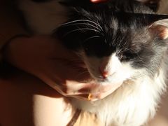-平行世界·猫咖(首经贸店)