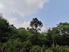 -南京老山国家森林公园