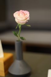 -FineYoga梵音瑜伽·普拉提