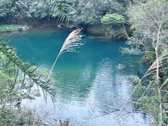 -靖西鹅泉风景区