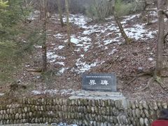 -牛背梁国家森林公园