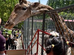 -荆州中山公园动物园