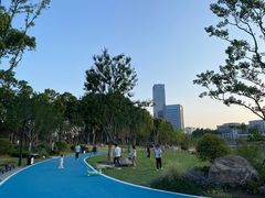 -后襄河公园