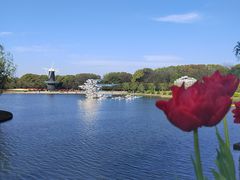 -上海鲜花港