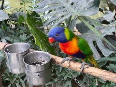 -南宫五洲植物乐园