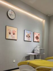 点击看大图 -洗脸猫·洗脸吧