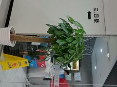 -瑞慈体检上海普陀机构