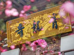 -西安青龙寺遗址景区