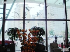 DSC07237-苏州金鸡湖中茵皇冠假日酒店