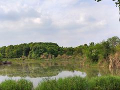 -白鹭湾湿地公园