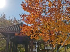 -黑龙江省森林植物园
