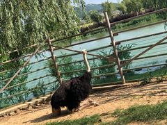 -羊亭河湿地公园