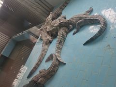 -大青山野生动物园
