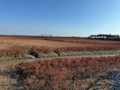 -红海滩国家风景廊道
