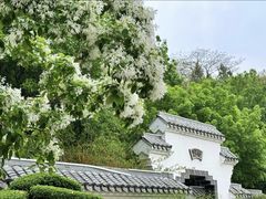 -北宫国家森林公园