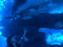 -暹罗海洋世界