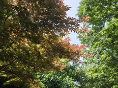 -南京市江宁方山