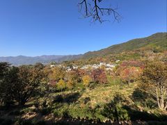 -塔川景区