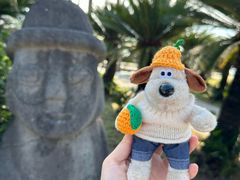 -柱状节理带