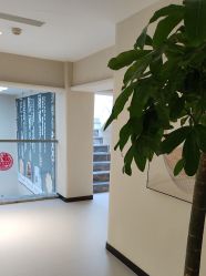 -柯莲娜医学美容