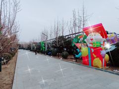 -南宫五洲植物乐园