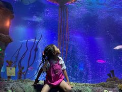 -沈阳海洋探索中心