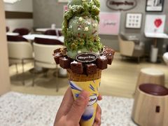 -哈根达斯(深圳海岸城店)