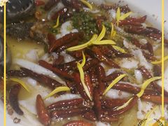 老坛子酸菜鱼-太二酸菜鱼(汕头苏宁广场店)