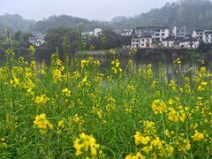 -新安江山水画廊风景区
