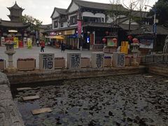 -云南民族村