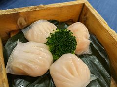 佰乐虾饺王-伯乐居茶艺馆(石岐大信店)