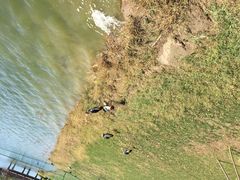 武清绿博园-武清南湖绿博园